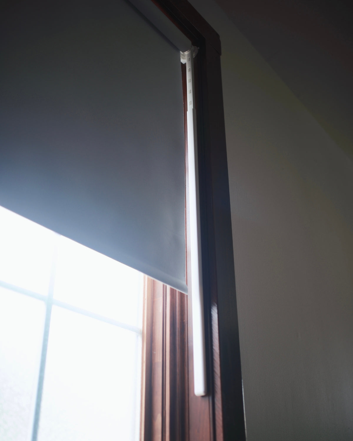 Rayat's Creative Digital Studio