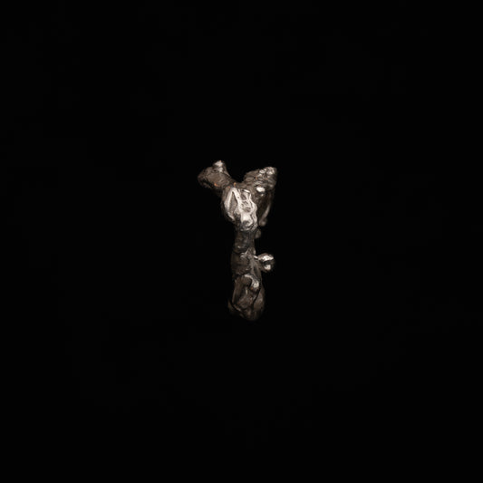 C02 (The Liquid Silhouette Ring)