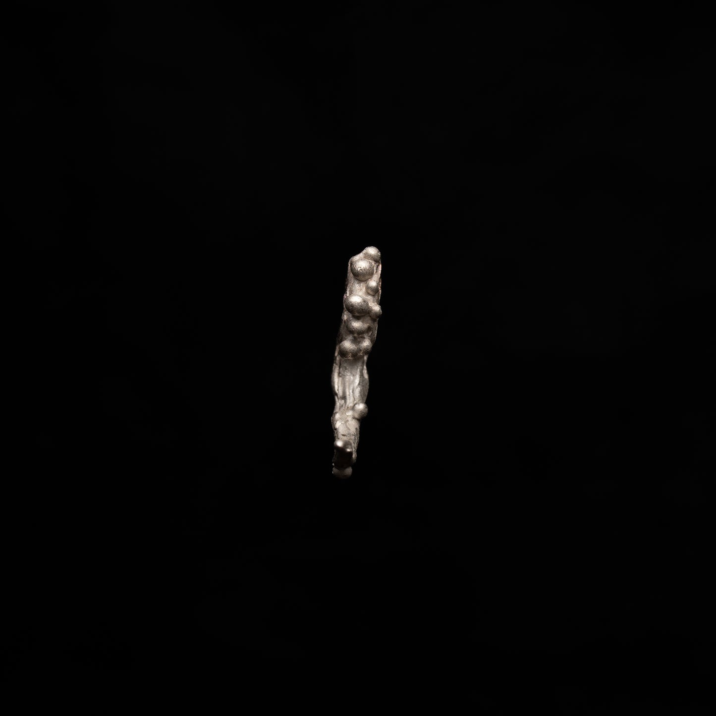 E11 (The Wild Branching Earrings)