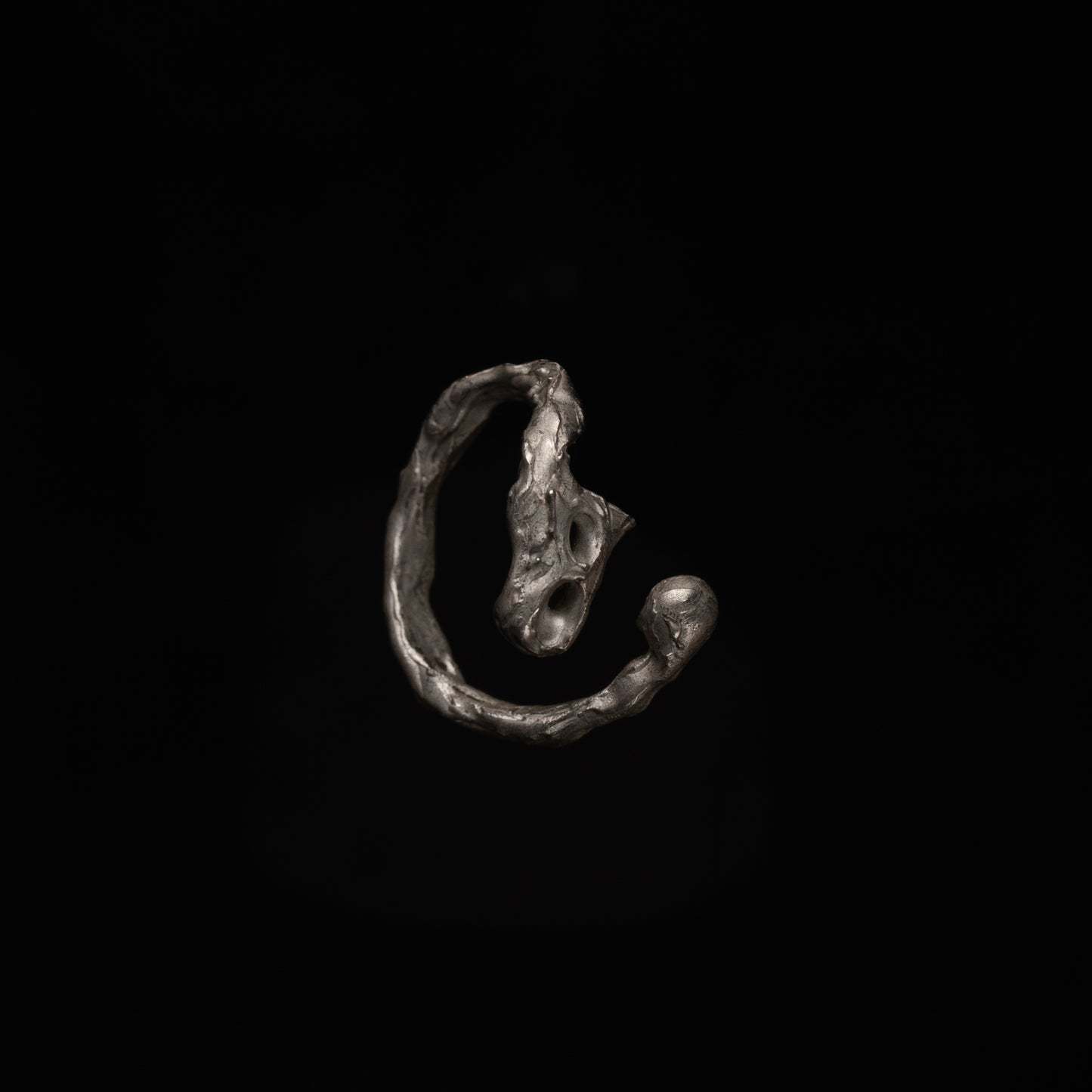 R46 (The Calligraphic Flow Ring)