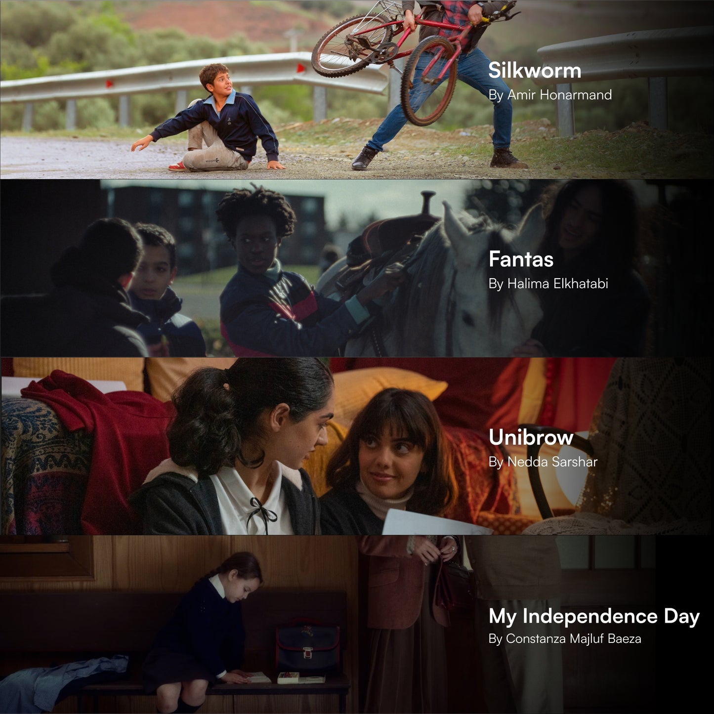 Block 5, May 31, 6-8PM (Q&A - All directors)