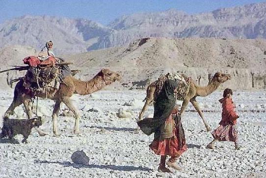 Meet the Baloch And Their Unique Balochi Rugs