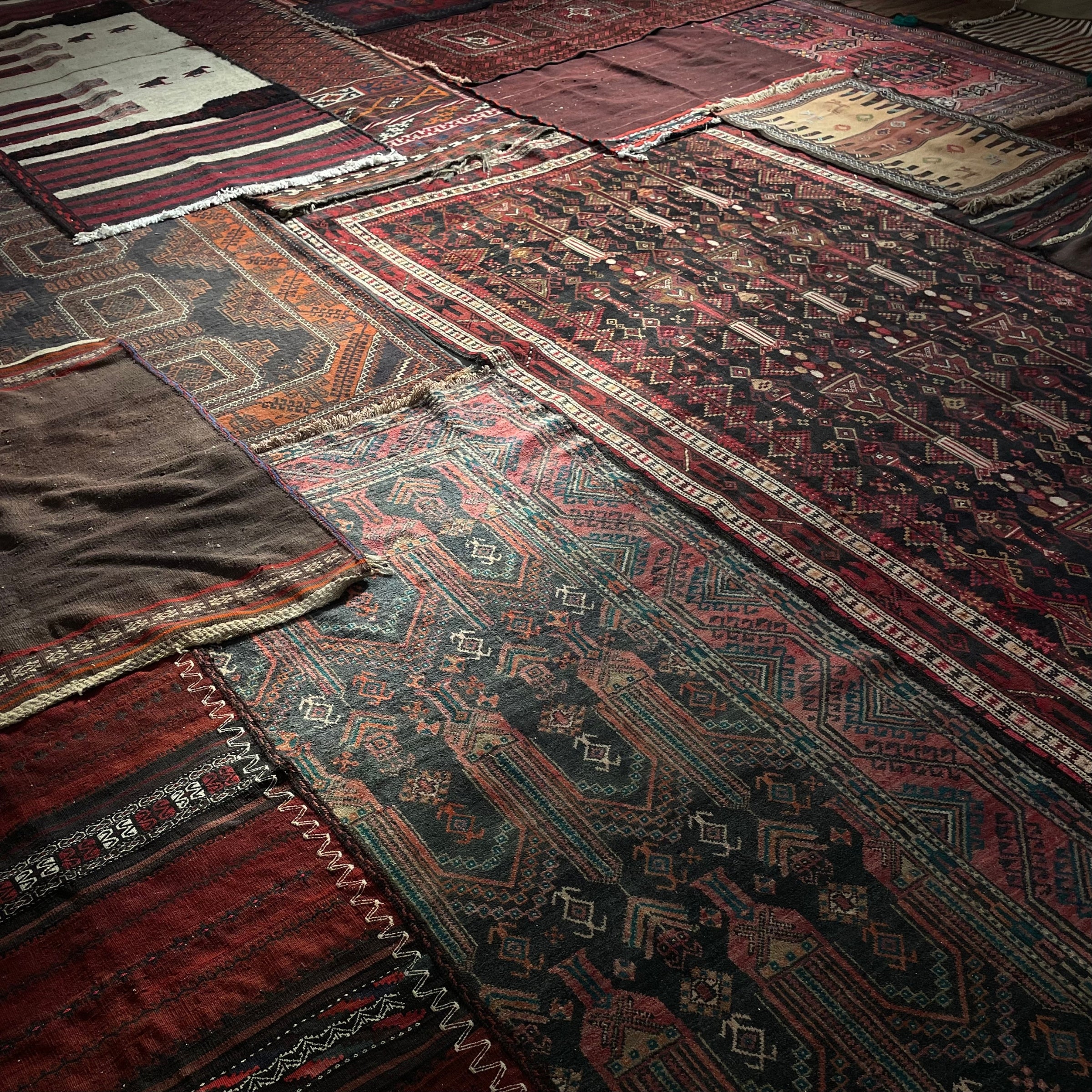 Collections – Rayat Magazine