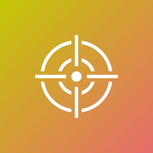 Launch, Ad Oversight & Owner Mentorship