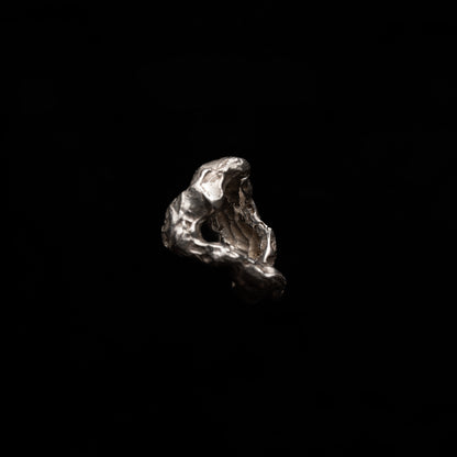 C01 (The Weathered Forms Ring)