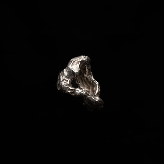 C01 (The Weathered Forms Ring)