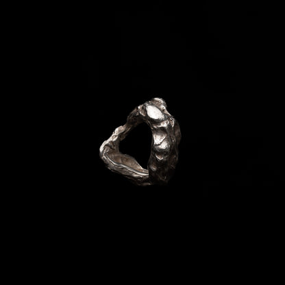 C01 (The Weathered Forms Ring)