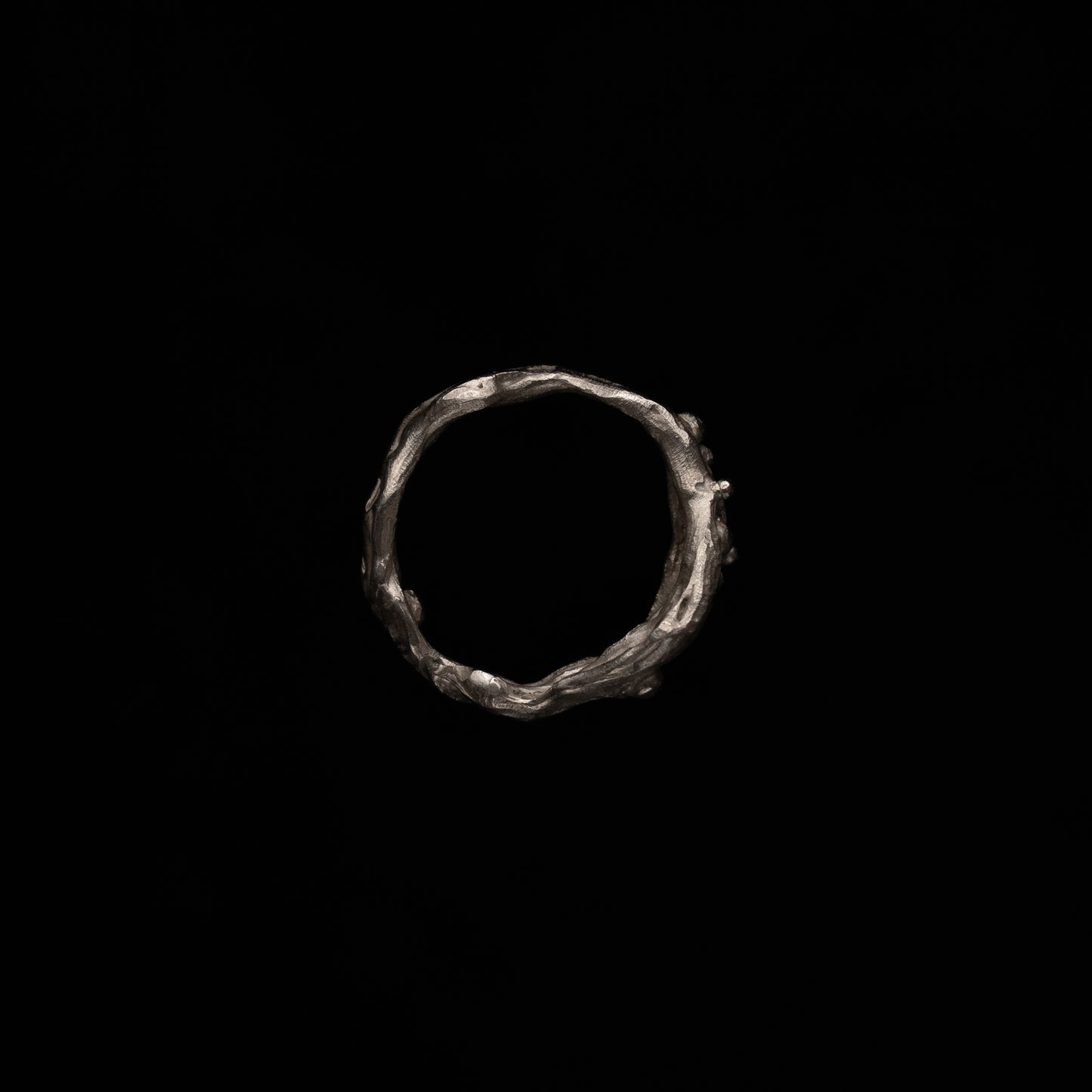 C02 (The Liquid Silhouette Ring)