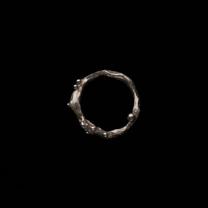 C02 (The Liquid Silhouette Ring)