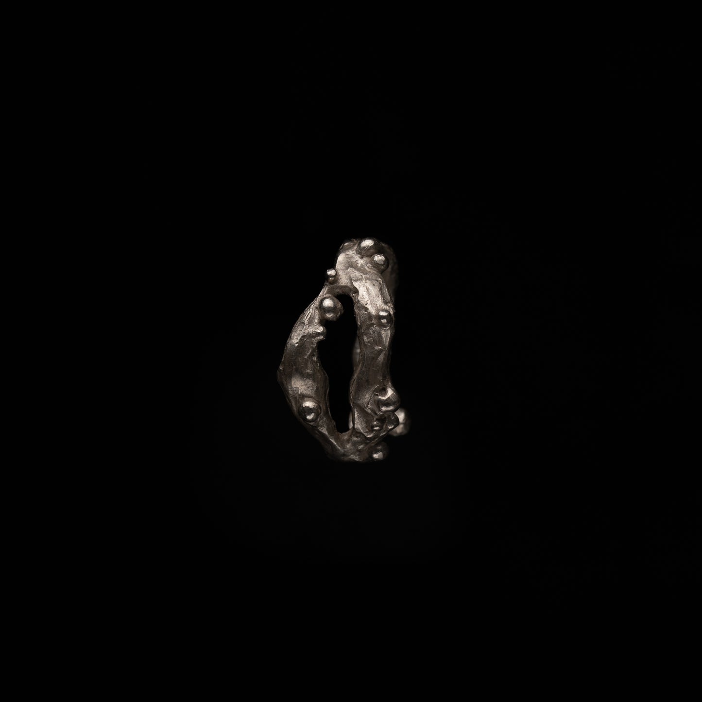 C02 (The Liquid Silhouette Ring)