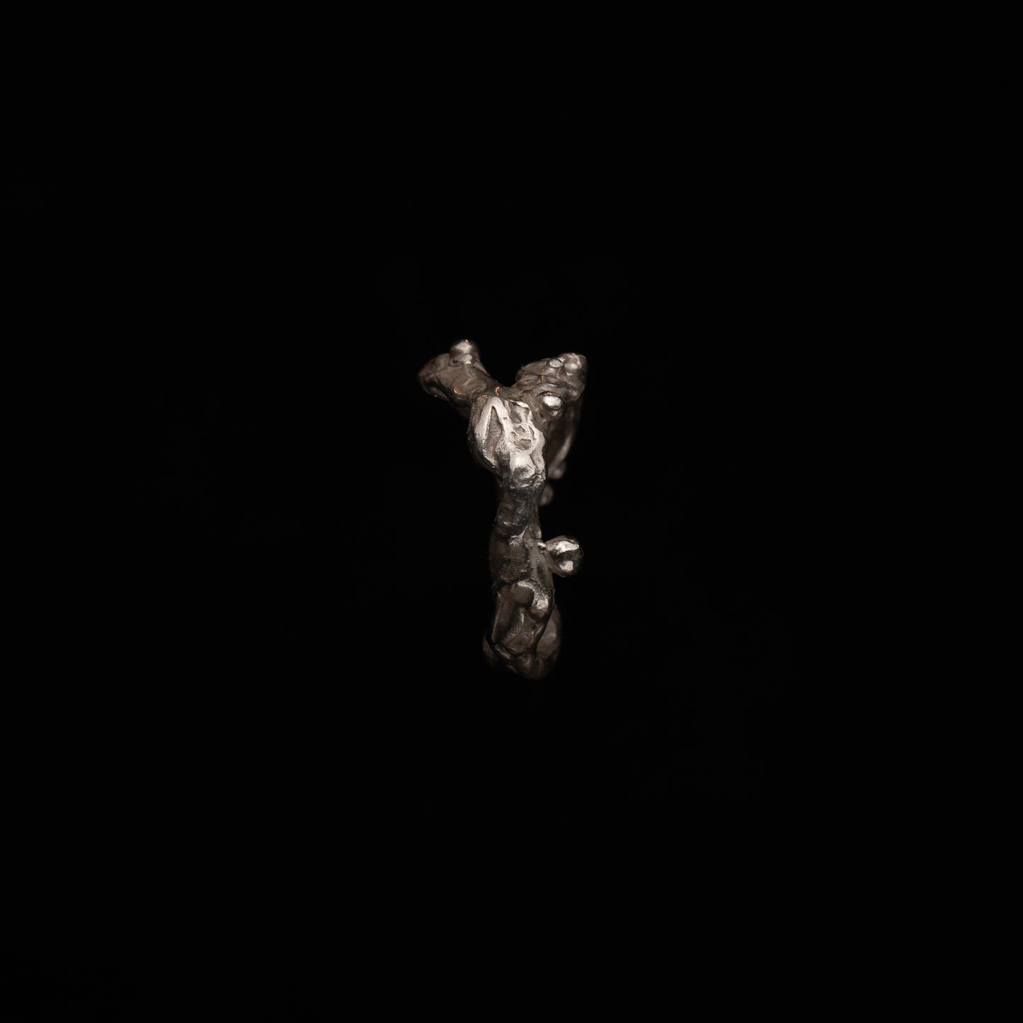 C02 (The Liquid Silhouette Ring)
