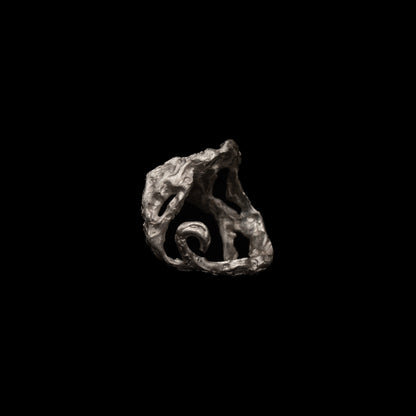 C08 (The Tides & Heart Ring)