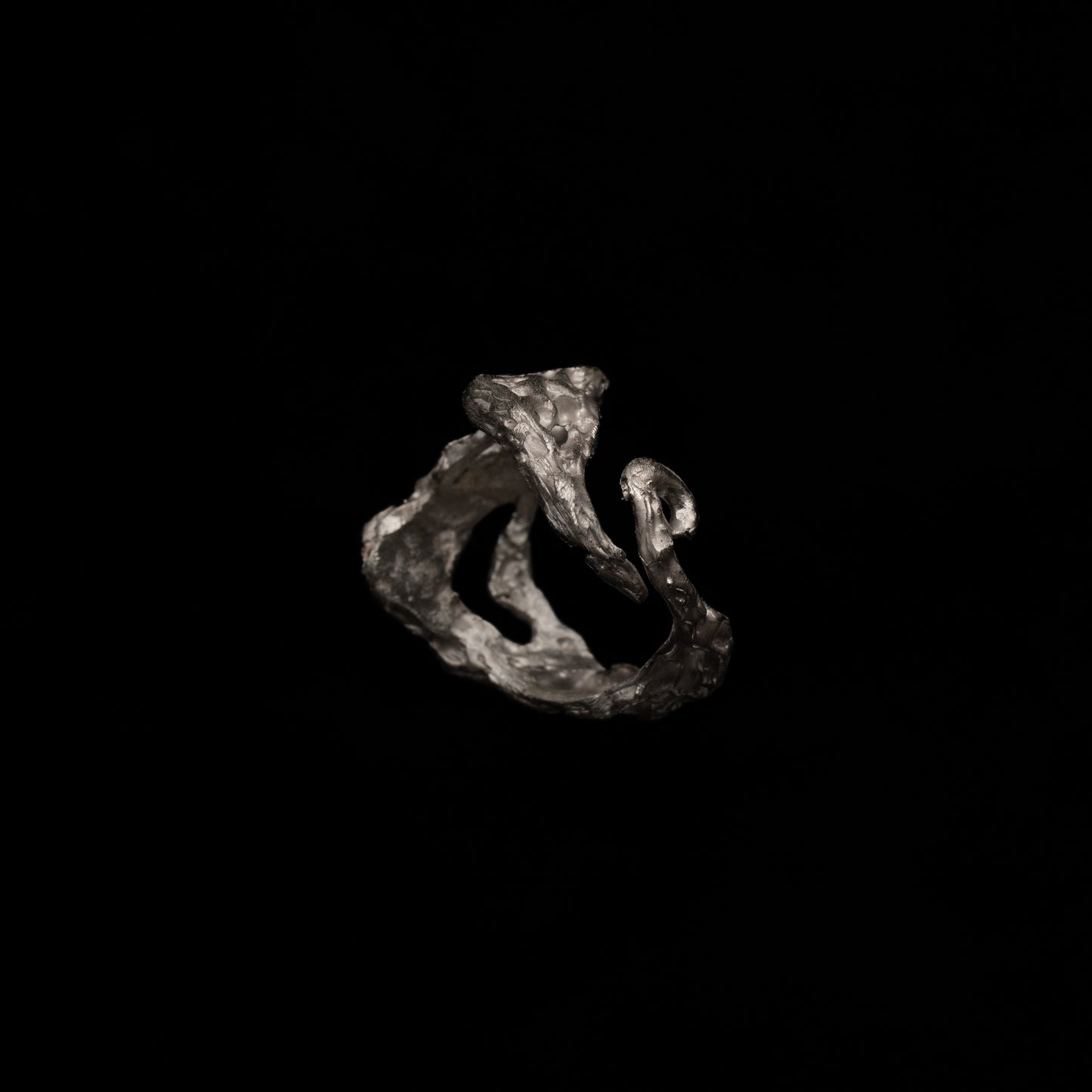 C08 (The Tides & Heart Ring)