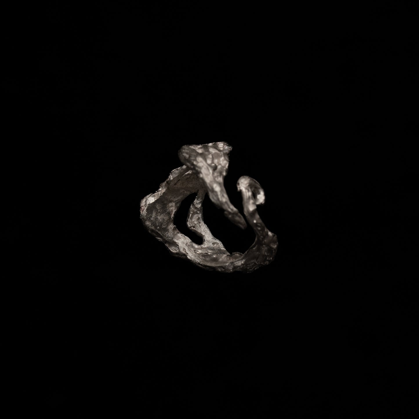 C08 (The Tides & Heart Ring)
