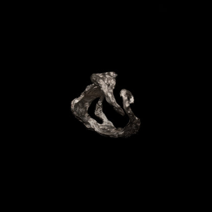 C08 (The Tides & Heart Ring)