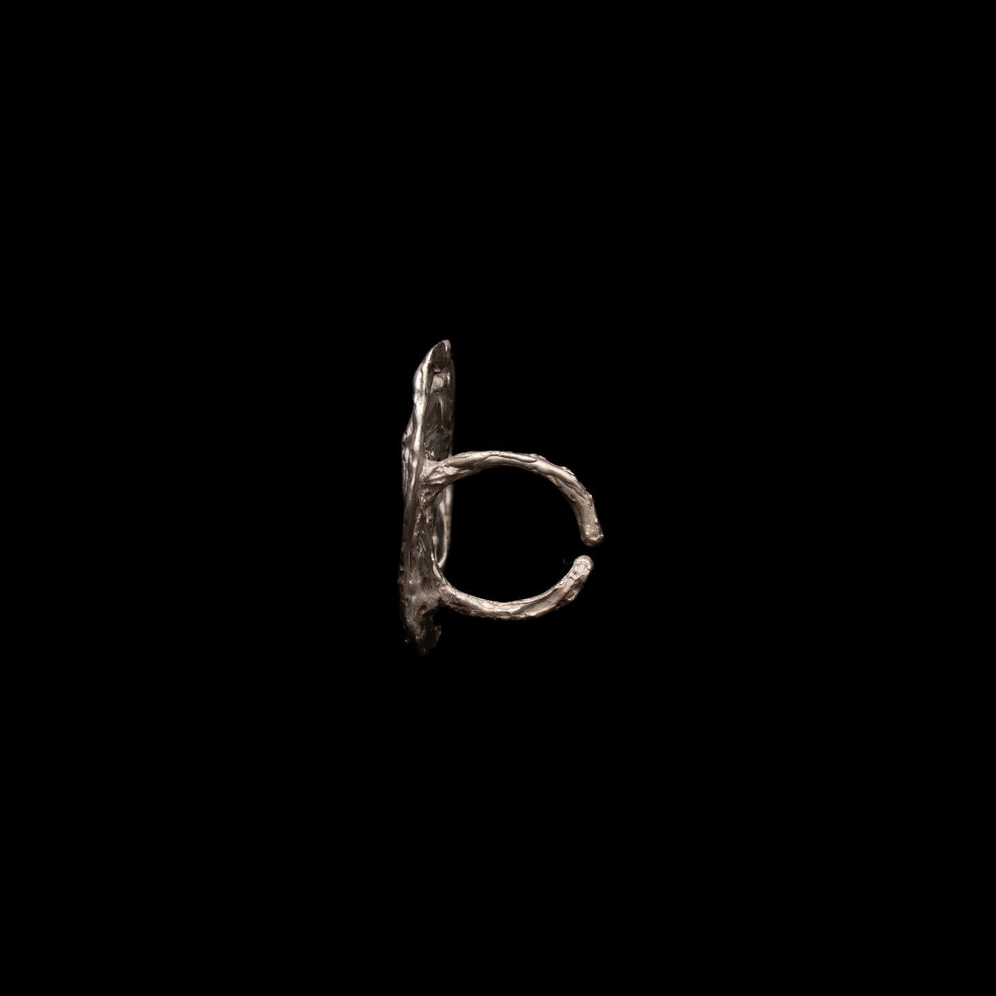 C13 (The Endless Flow Pendant)