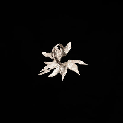 C22 (The Wild Petal Ring)