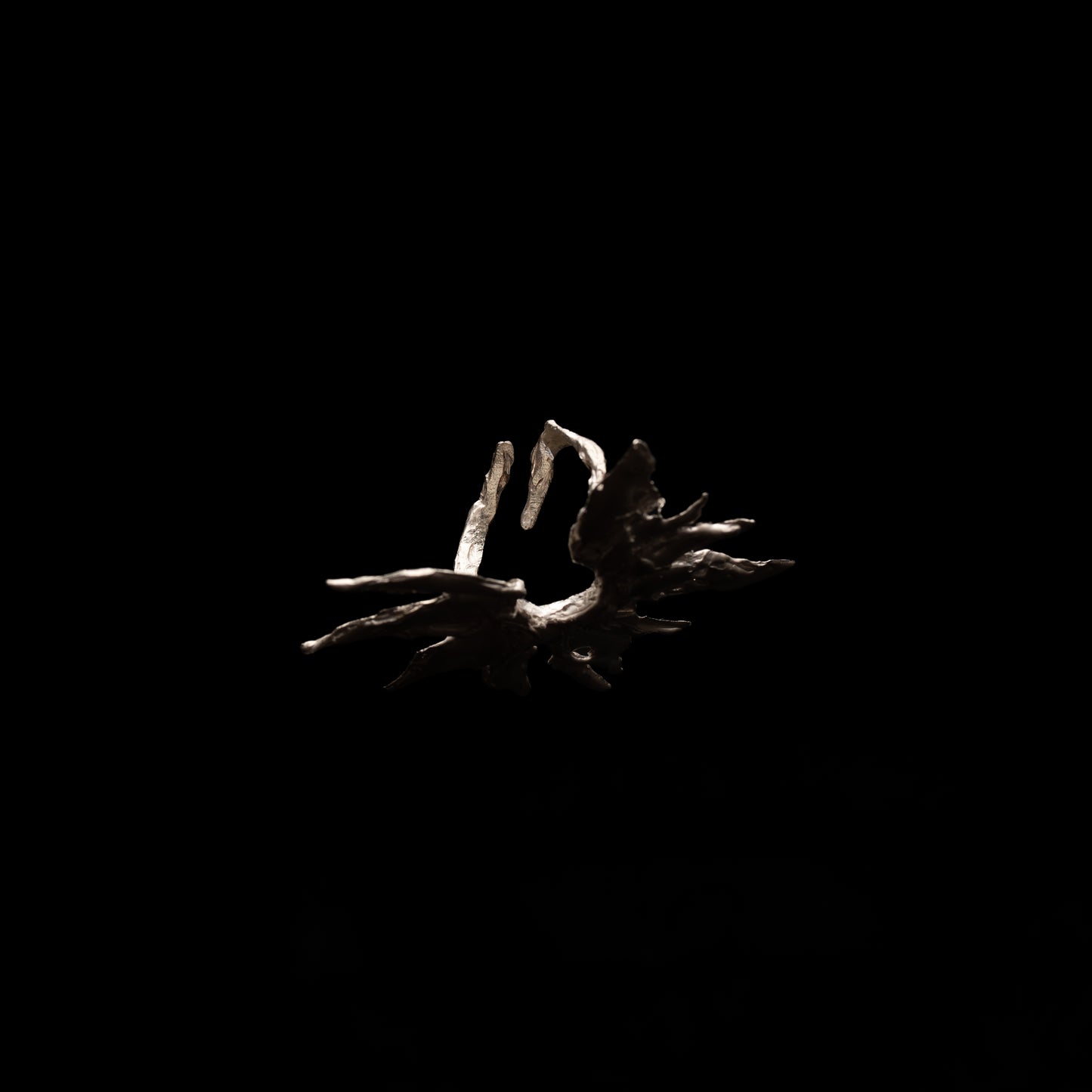 C22 (The Wild Petal Ring)