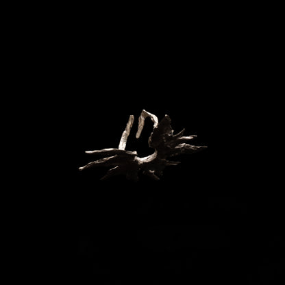 C22 (The Wild Petal Ring)