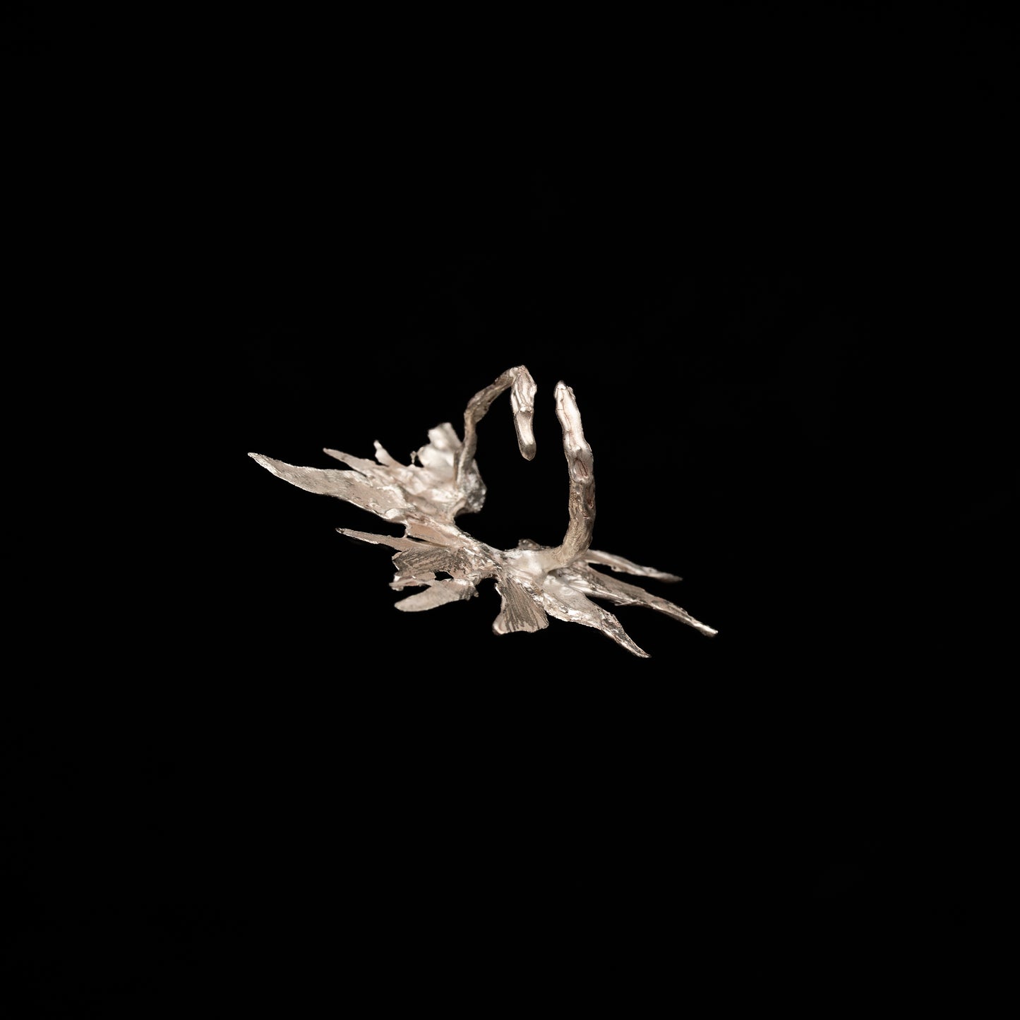 C22 (The Wild Petal Ring)