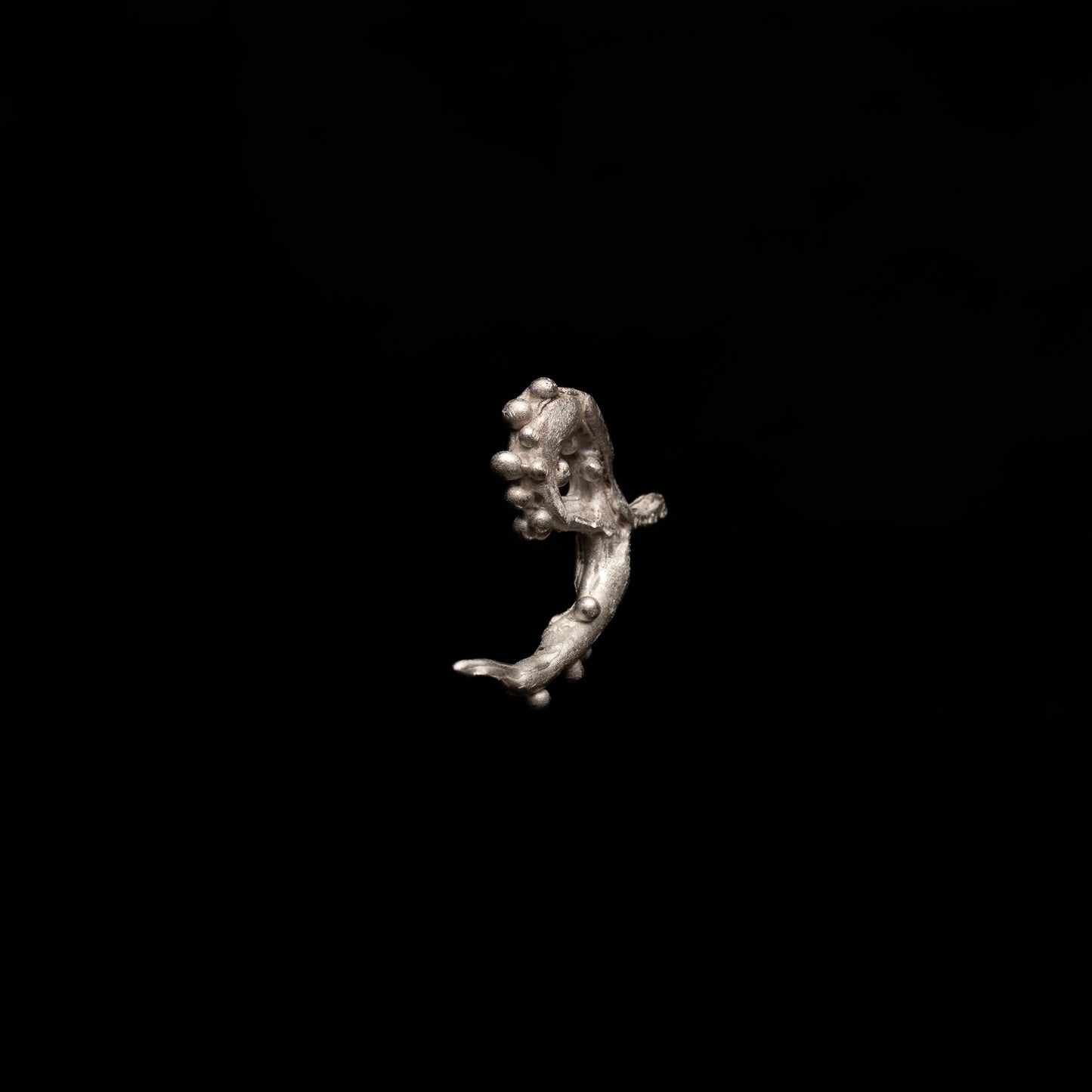 E11 (The Wild Branching Earrings)