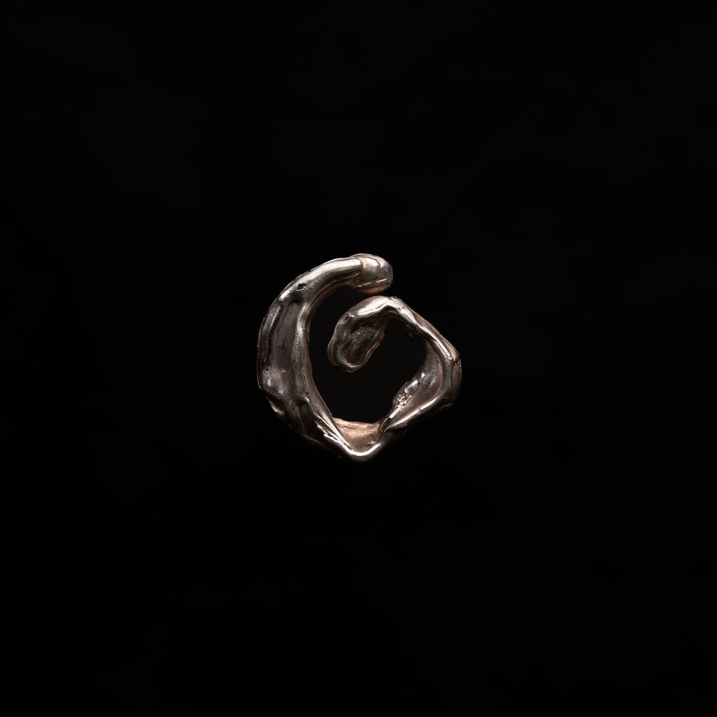 E04 (The Crest & Swell Earrings)