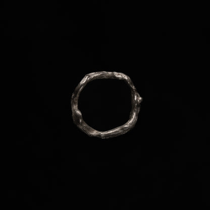 R42 (The Void & Form Ring)