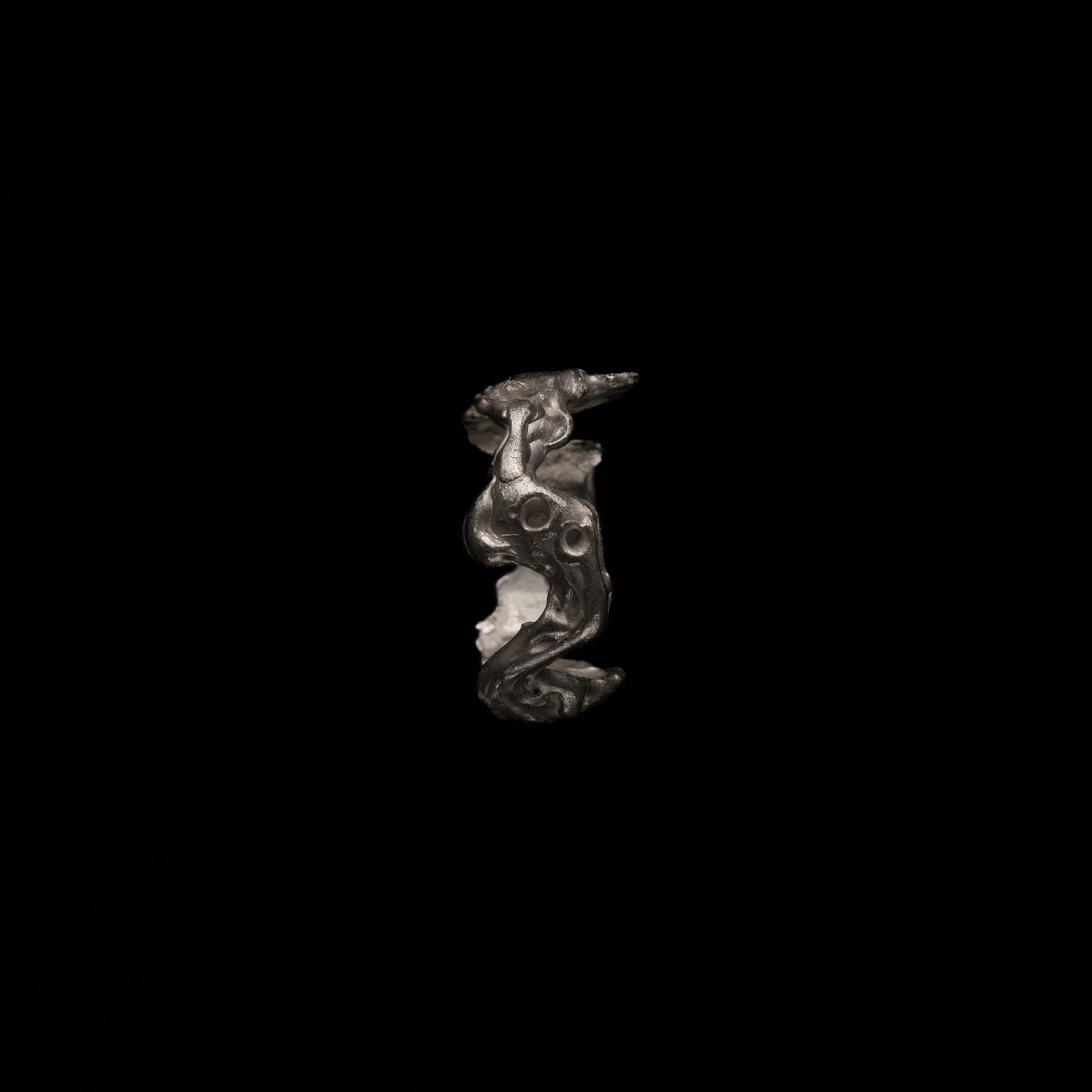 R42 (The Void & Form Ring)