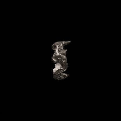 R42 (The Void & Form Ring)