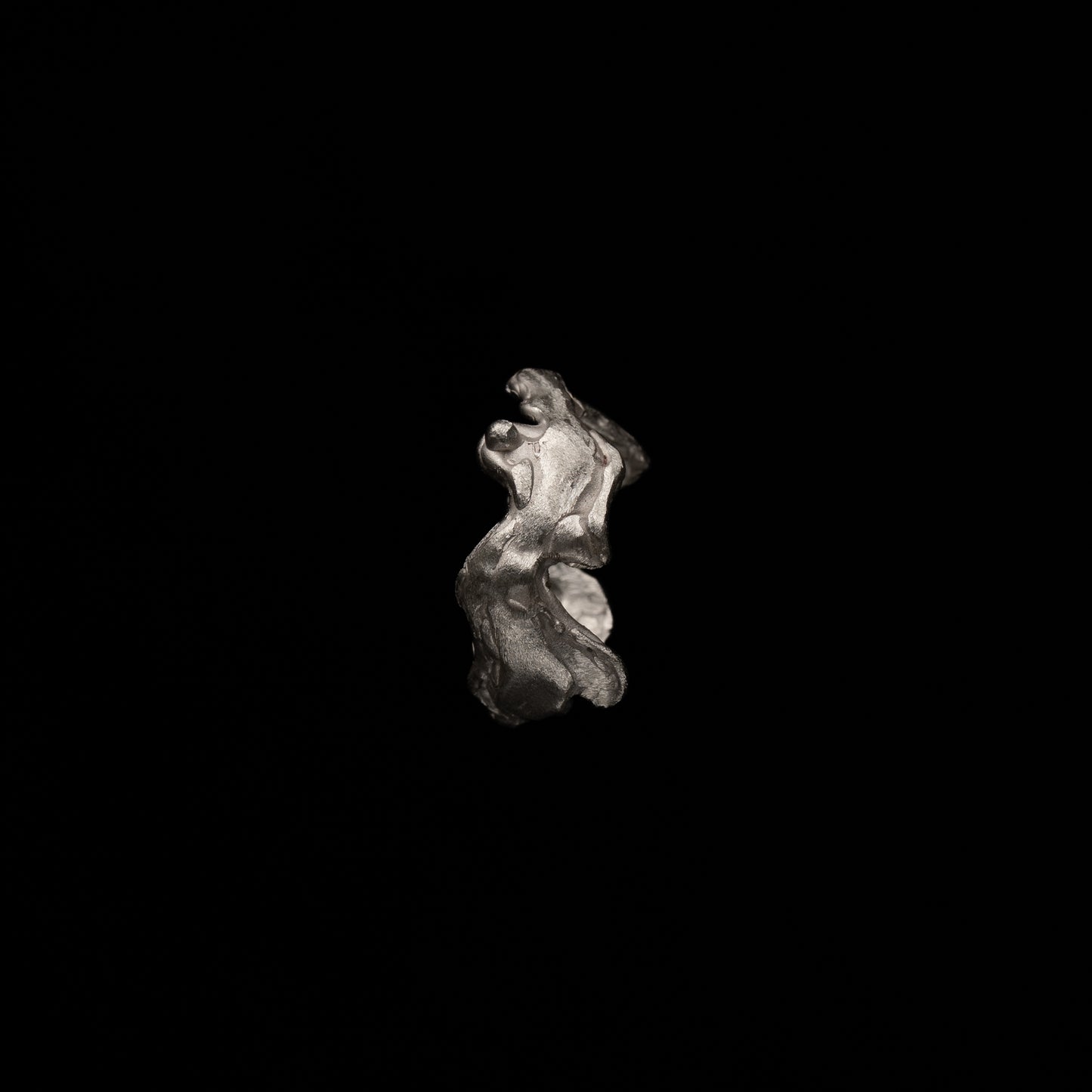 R42 (The Void & Form Ring)