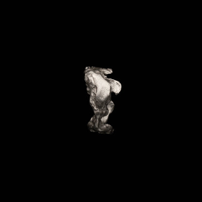 R42 (The Void & Form Ring)