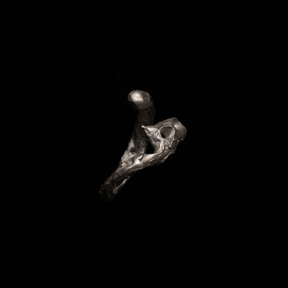 R46 (The Calligraphic Flow Ring)
