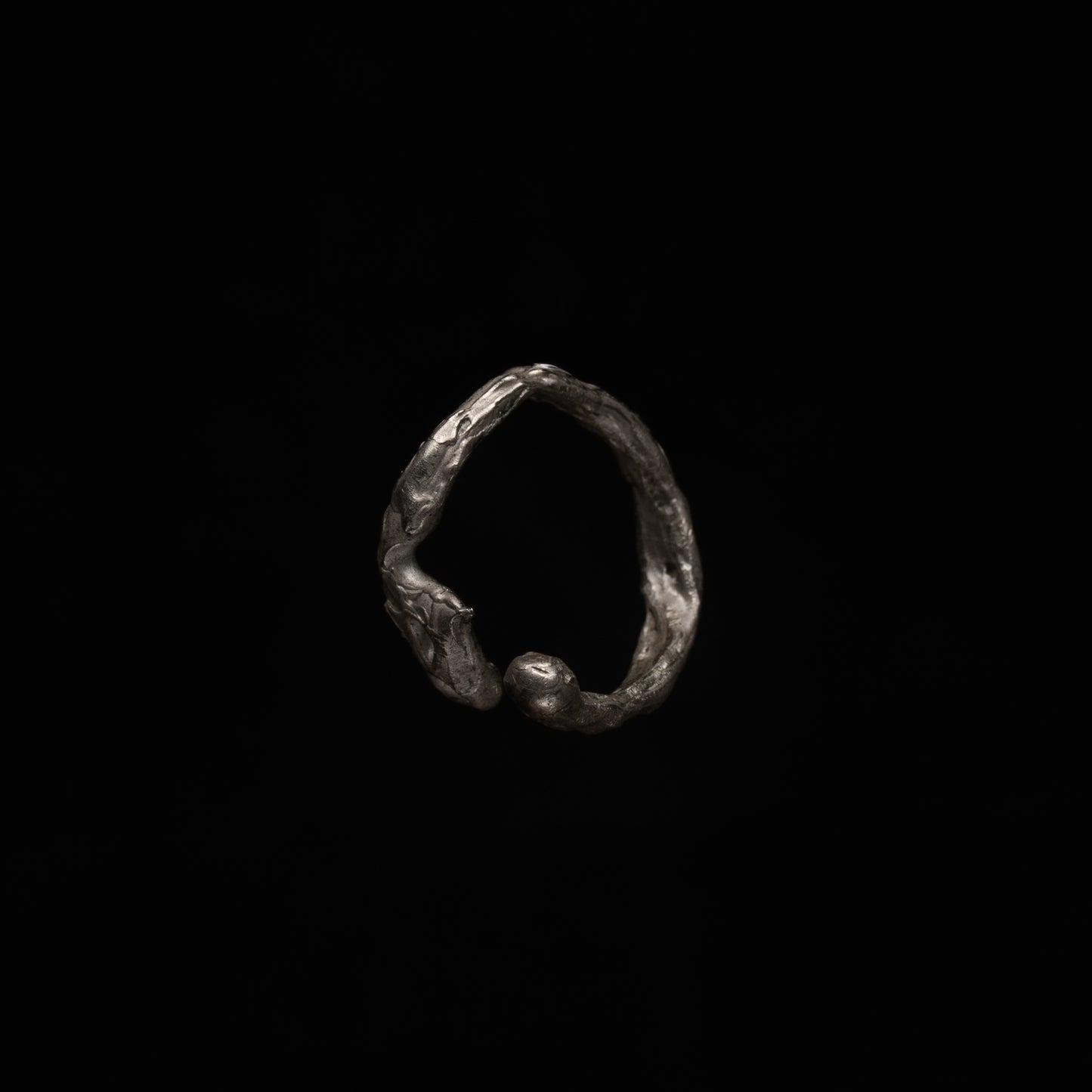 R46 (The Calligraphic Flow Ring)