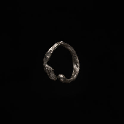 R46 (The Calligraphic Flow Ring)
