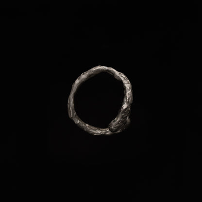 R46 (The Calligraphic Flow Ring)