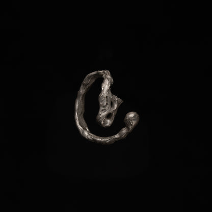 R46 (The Calligraphic Flow Ring)