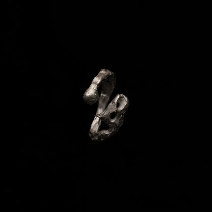 R46 (The Calligraphic Flow Ring)