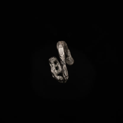 R46 (The Calligraphic Flow Ring)