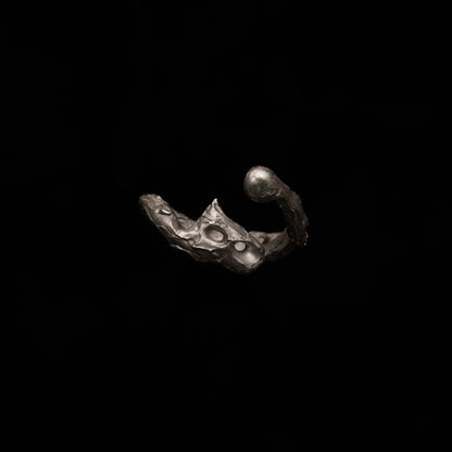 R46 (The Calligraphic Flow Ring)
