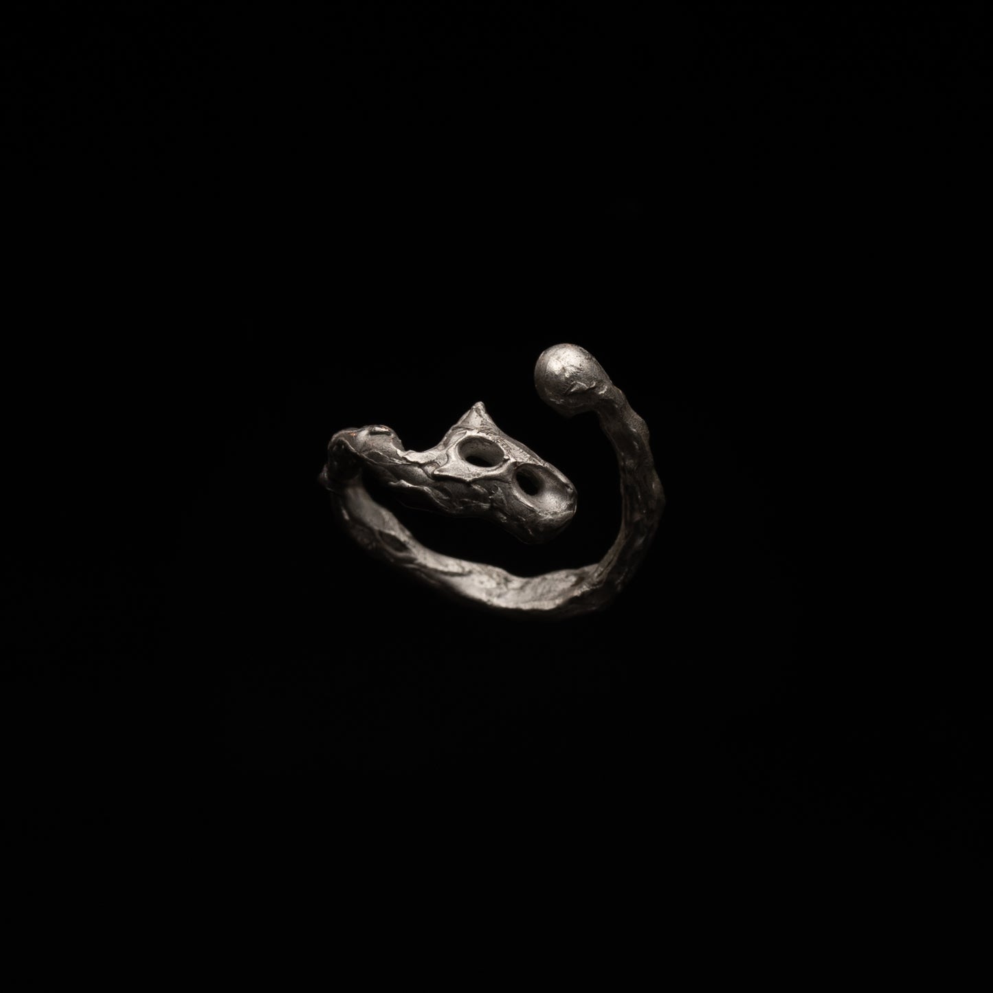 R46 (The Calligraphic Flow Ring)