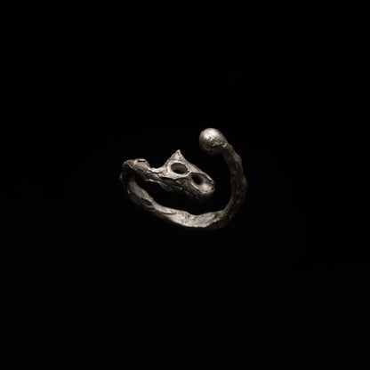 R46 (The Calligraphic Flow Ring)