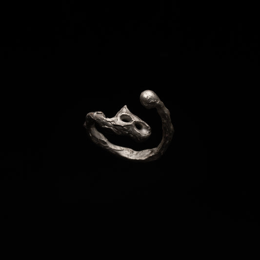 R46 (The Calligraphic Flow Ring)