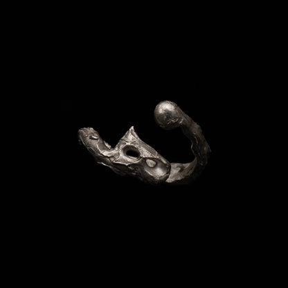 R46 (The Calligraphic Flow Ring)