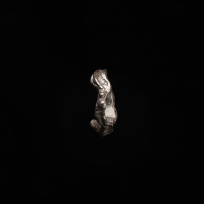 R64 (The Undulating Wave Ring)