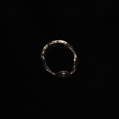 R66 (The Asymmetric Arc Ring)